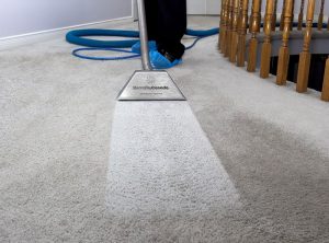 steam clean carpets