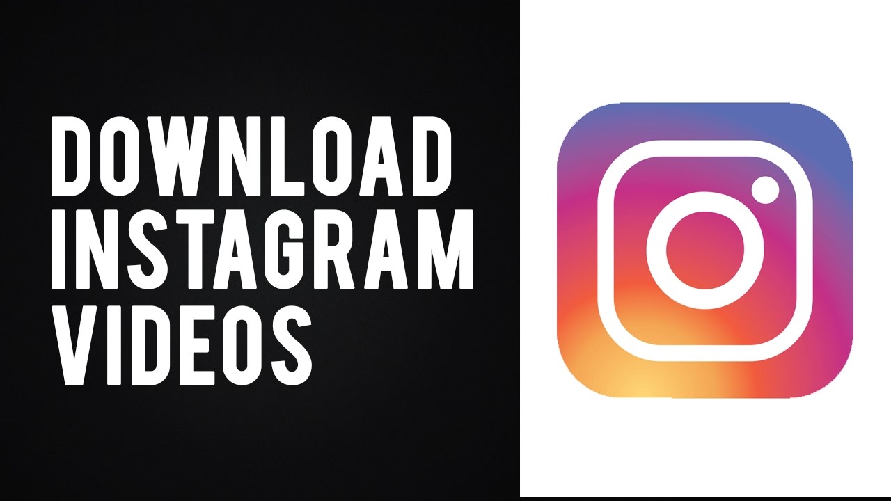 How To Download Instagram Videos From Private Account Assertive News