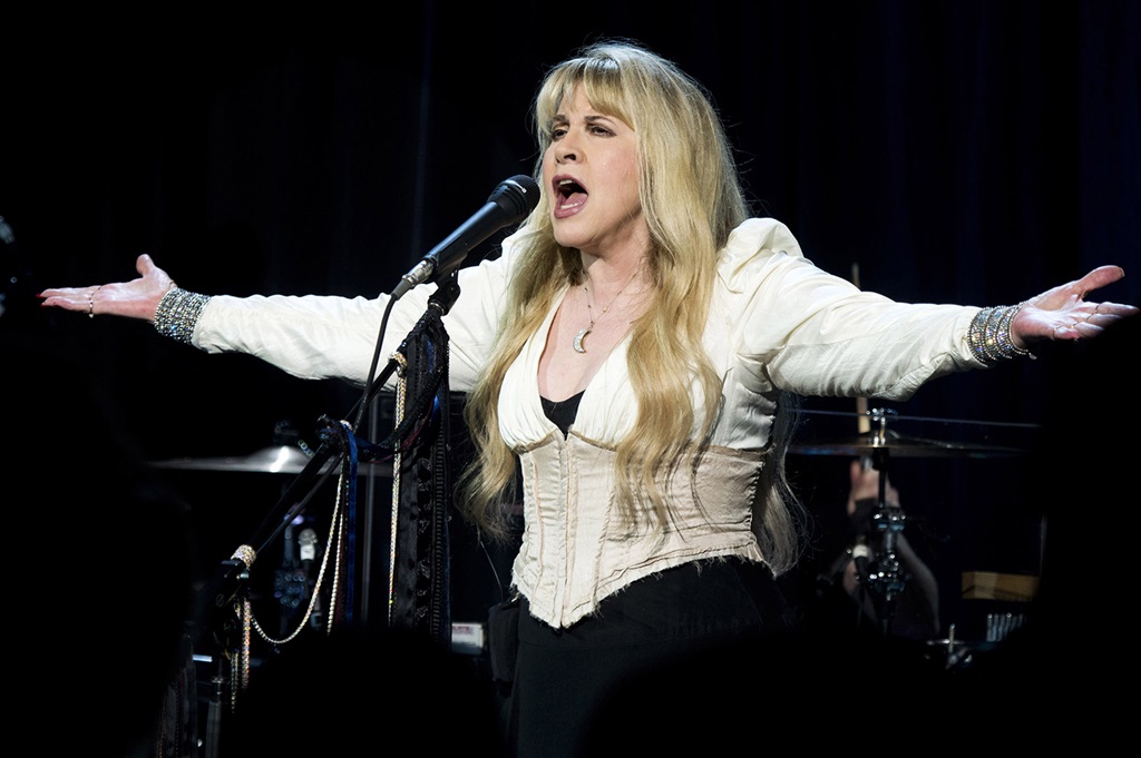 What kind of style is Stevie Nicks?