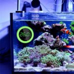 Best aquarium temperature sensors for reef tanks guide pdf