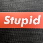 How can I avoid offending someone with “stupid”