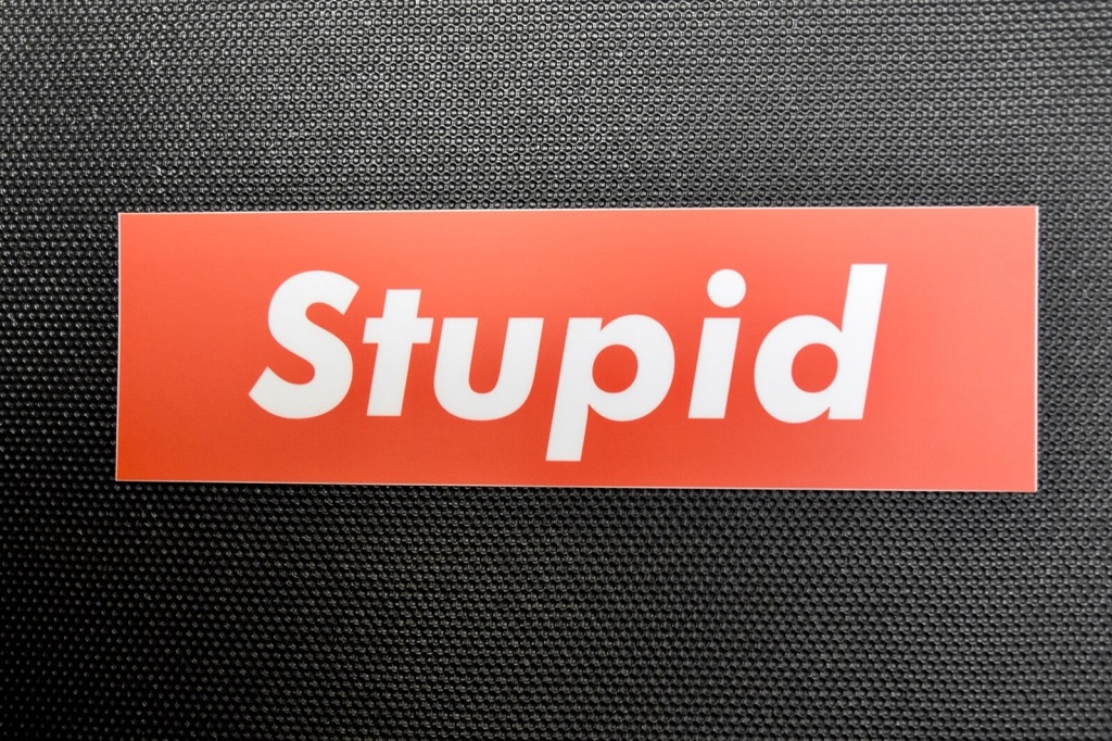 How can I avoid offending someone with “stupid”
