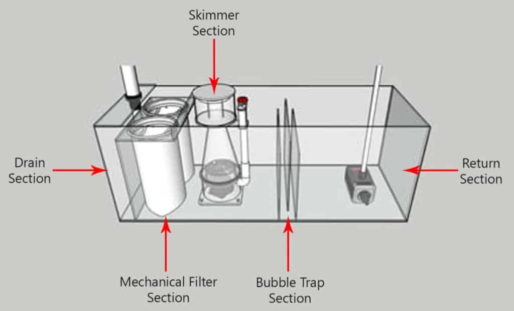 Diagram showing the correct and incorrect placement of a thermometer probe in a reef tank sump