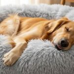 Fluffy gray KSIIA dog bed cradling a relaxed golden retriever in peaceful slumber