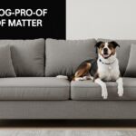 Scratch-resistant microfiber sofa in living room with dog