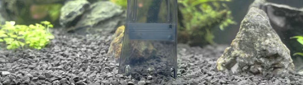Efficient gravel vacuum cleaning aquarium substrate during routine tank maintenance.