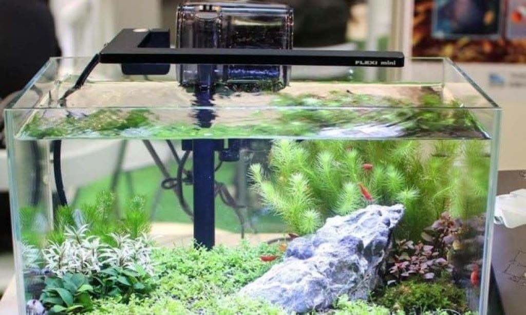 Small nano aquarium with compact internal filter running smoothly