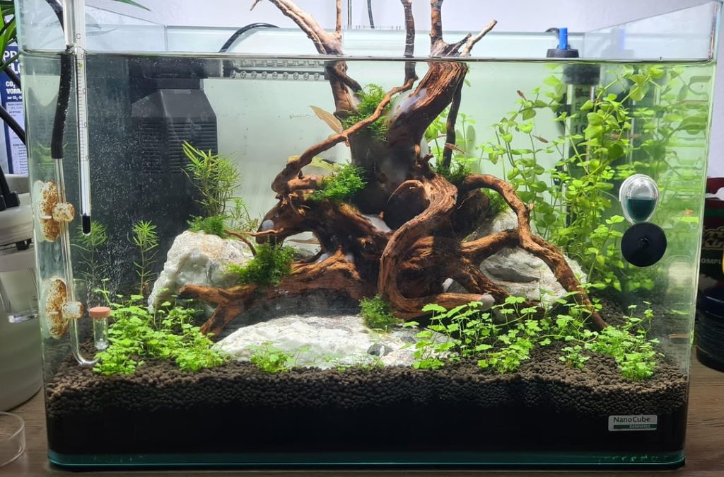 Close-up of budget aquarium filter installed in a tiny fish tank