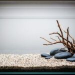 Natural brackish aquarium with driftwood and sand substrate
