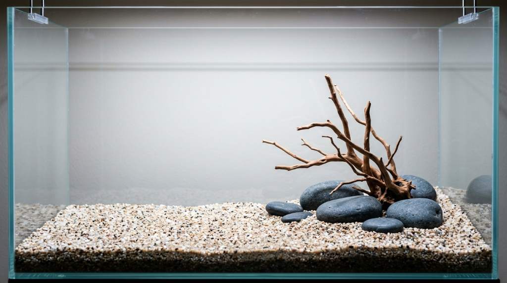 Natural brackish aquarium with driftwood and sand substrate
